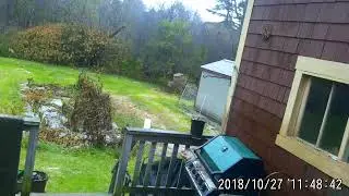 Homestead Update 27 Oct 18
