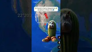 I Found A Cacto Hipopotamo🌵On Google Earth and Google Maps 🌎! #shorts #findmysterioussecrets ￼