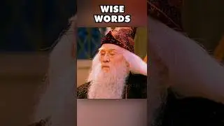 Wise Words #harrypotter #funny #parody #comedy #foryou #jokes #watch