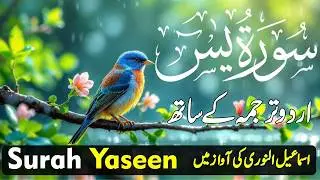Surah Yasin with Urdu Translation Full | Beautiful Quranic Recitation with Urdu & Hindi Tarjama Ep 4