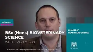 BSc Bioveterinary Science: Study Animal Health and Disease at Lincoln