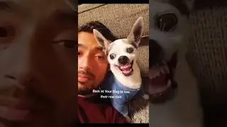 Bark At Your Dog & Record Their Reaction 🐶 @TheJessiiShow #TheManniiShow.com/series Dog TV