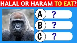 HALAL OR HARAM Animals to Eat | Quiz Fun Facts