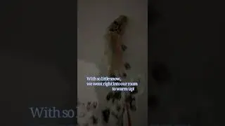 Ferret playing on balcony🐾✨
