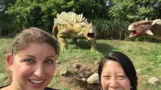 Prehistoric Friends