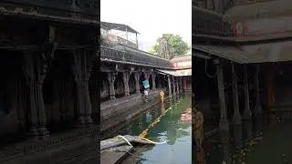 Birth place of the river Godavari #godavaririver  #jeevanadhi #trayambakeshwar #ytshorts
