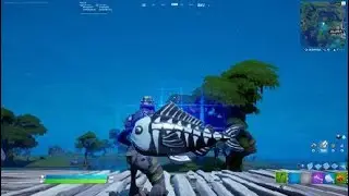 Skull zero point fish