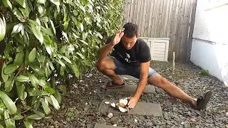 Cengiz Dervis demonstrates the Dim Mak