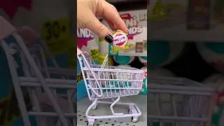 Mini Shopping For Wacky Minis! #minis #minishopping #miniature