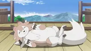 Liko and chubby Lycanroc |Pokemon Horizons |Anime |Pokemon