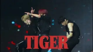 [4K] 250808-10 'TIGER' (타이거) | 더보이즈 현재 주연 선우 직캠 | THE BOYZ THE BLAZE