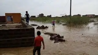 Kanulal prajapat 8696080978