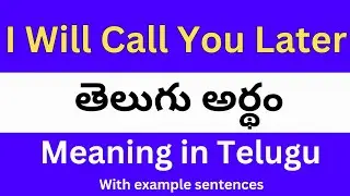 I Will Call You Later meaning in telugu with examples | I Will Call You Later తెలుగు లో అర్థం
