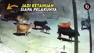 DIREKAM CCTV LANGSUNG!! INILAH KEJADIAN DI LUAR NALAR PIKIRAN YANG TAK DAPAT DIPERCAYA & TERTANGKAP