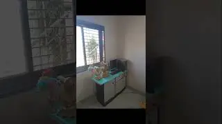 Table Cleaning #shorts #viral #trending