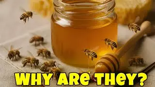 If Bees Disappear, What Happens To Us? The Scary Truth Behind Their Importance!
