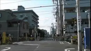Самый маленький поезд в Мире \ The smallest train on earth