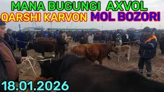 18.01.2026 ONA BOLA SOG'IN SIGIRLARNI ARZONLARIDAN QARSHI KARVON MOL BOZORIDA 