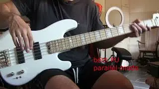 Hot Wire XXL force 5-String Bass Demo