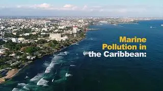 Marine Pollution Threatens the Caribbean Sea