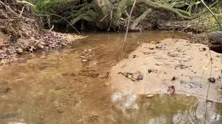 Trail Tour: Forney Creek Trail - Kathryn G. Clark Segment