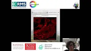 Technical Tea Break -  Introduction to Image Analysis with FIJI, Stefania Marcotti