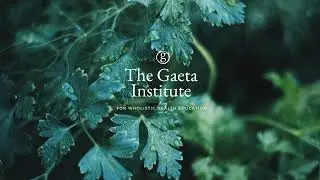 Dr Michael Gaeta: Wholistic Health News, Insights & Research