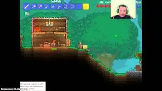 TERRARIA: Changes To Channel?