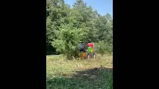 Nośnik narzędzi Merlo TreEmme MM250X z mulczerem hydraulicznym FAE 200/U-200