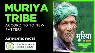 Muriya Tribe | मुरिया जनजाति | Authentic Facts For CGPSC CGVYAPM Exams