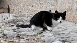 Nafplio : A small movie!