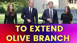 Why Princess Kate will never forgive Meghan Markle - William wants extend an olive branch to Harry
