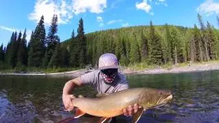 Fly Fishing Backcountry Bull Trout