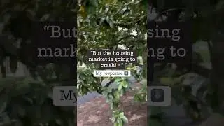 GREAT news for you ⤵️ 🏡 The US housing market shows no signs of coming to a crash and the Northern