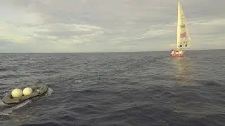 Dare To Lead sails to assistance of Liverpool 2018 in Race 7: Forever Tropical Paradise Race