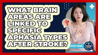 What Brain Areas Are Linked To Specific Aphasia Types After Stroke? - Stroke Support Channel
