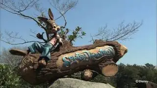 スプラッシュ・マウンテン   Splash Mountain Official Overview Tokyo Disneyland Tokyo Disney Resort 東京ディズニーリゾート