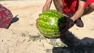 1/2 POUND TANERITE WATERMELON EXPLOSION #ak47 #glock43x #ar15  #palmettostatearmory #yungshooter2x