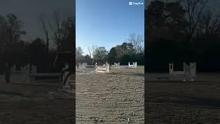little glow up✨ #fypシ゚viral #horse #equestrianjourney