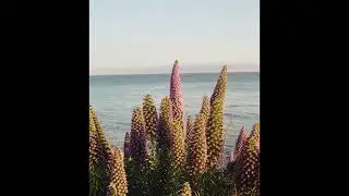 [FREE] Flume Type Beat - 