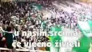 Tornado Zadar - Tebe volimo... (riječi)