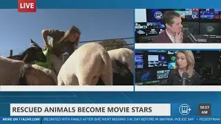 Rescued Georgia animals become movie stars