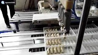Automatic Dumpling Packaging Machine