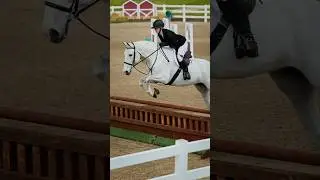 & we all thought Spring Fling couldn&rsquo;t be a hunter🤩🤯 #horse #equestrian #fyp #omg #horsefan