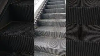 #metrotravel #travel #shortsvideo