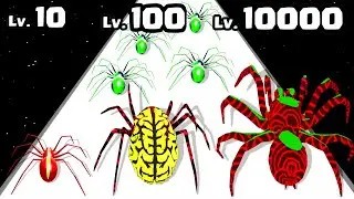 Spider Insect Evolution Run - Level Up Spider Max Level Gameplay