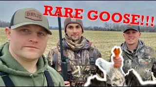 Охота на водоплавающих птиц в Кентукки - редкий гусь!!!!