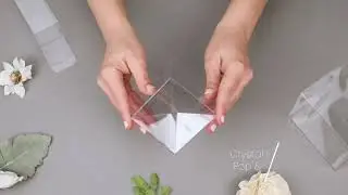Clear Boxes by ClearBags