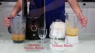 MEISHU Vacuum Blender