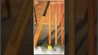 Cricket Status |ipl 2021| Cricket lover|feel the song|